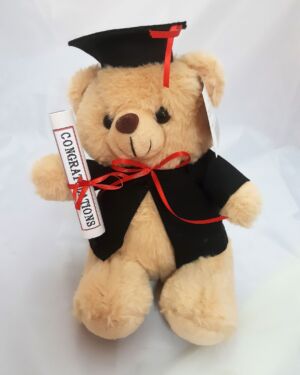 Αρκουδάκι αποφοίτησης με τήβεννο, 23εκ