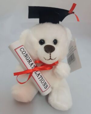 Αρκουδάκι αποφοίτησης λευκό, 13εκ