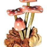 Parasite wood mushroom